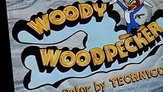 Woody Woodpecker Woody Woodpecker E076 – Box Car Bandit