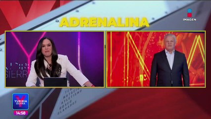 Amenazan a dueña de perros pitbull asesinados en el Estado de México