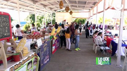 150 nuevos buses rusos llegarán a finales de Abril