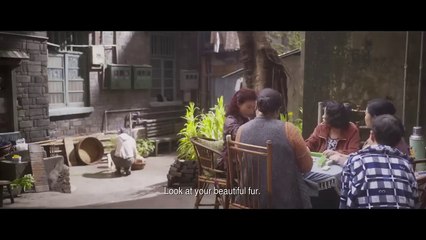 Hachiko (2023) – Heartwarming Official Trailer of the Beloved Puppy’s Story 🐶