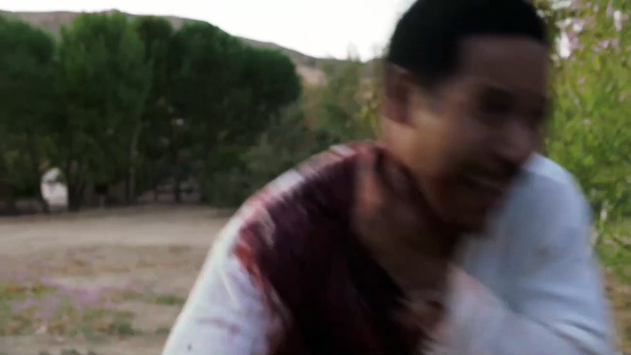 Stereoscope Trailer