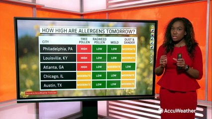 Your allergy forecast for April 19