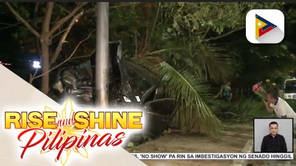 Kotse, sumampa sa bangketa at inararo ang maliliit na puno ng niyog sa Roxas Blvd. sa Pasay;