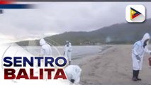 DENR: Siyam pa lang sa 35 sampling stations sa Puerto Galera ang pumasa sa water quality testing