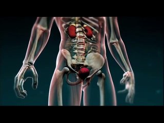 Autopsy Spezial-Christopher Reeve