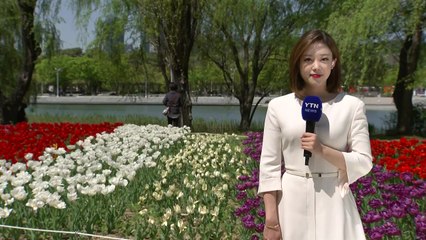 [날씨] 오늘 내륙 초여름 '서울 28℃'...내일은 '남부 30℃' / YTN