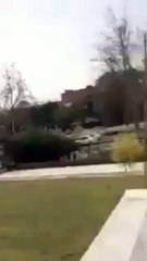 The Wild Animal Entered the Supreme Court