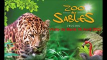 Visite au Zoo des Sables D ' Olonne ( Vendée ) - Mardi 18 Avril 2023