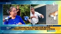 Denuncian a vecino por matar a perrito a palazos: no sería la primera vez que agrede a mascotas