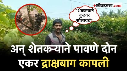 "बागेसाठी कर्ज काढलं पण..."; अवकाळीचा फटका, शेतकऱ्यांने मांडली व्यथा  | Barshi