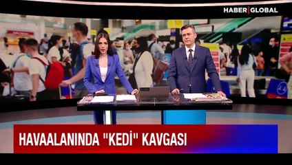 Havaalanında kedi kavgası!