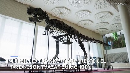 Csaknem 5 millió frankért kelt el egy Tyrannosaurus rex-csontváz