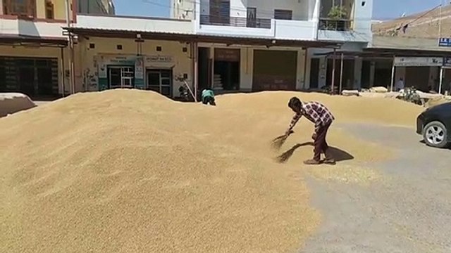 Farmers protested, here ... the former minister said, the state government should give relief to the farmers by starting the government procurement of wheat