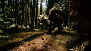 Dinosaur video 2560x1440-30fps