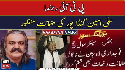 Ali Amin Gandapur secures bail from Bakhar court