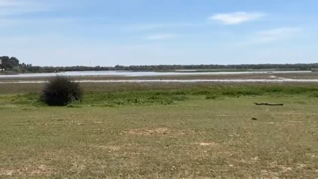 Gobierno, comunidades y cuencas hidrográficas buscan hoy soluciones frente a la sequía