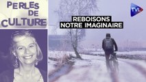 Perles de Culture n°382 - Frédéric Andreu : Reboisons notre imaginaire