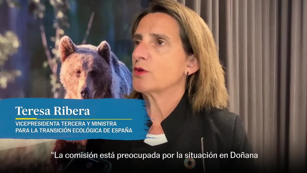 Ribera asegura que la CE está "muy preocupada" por la situación en Doñana