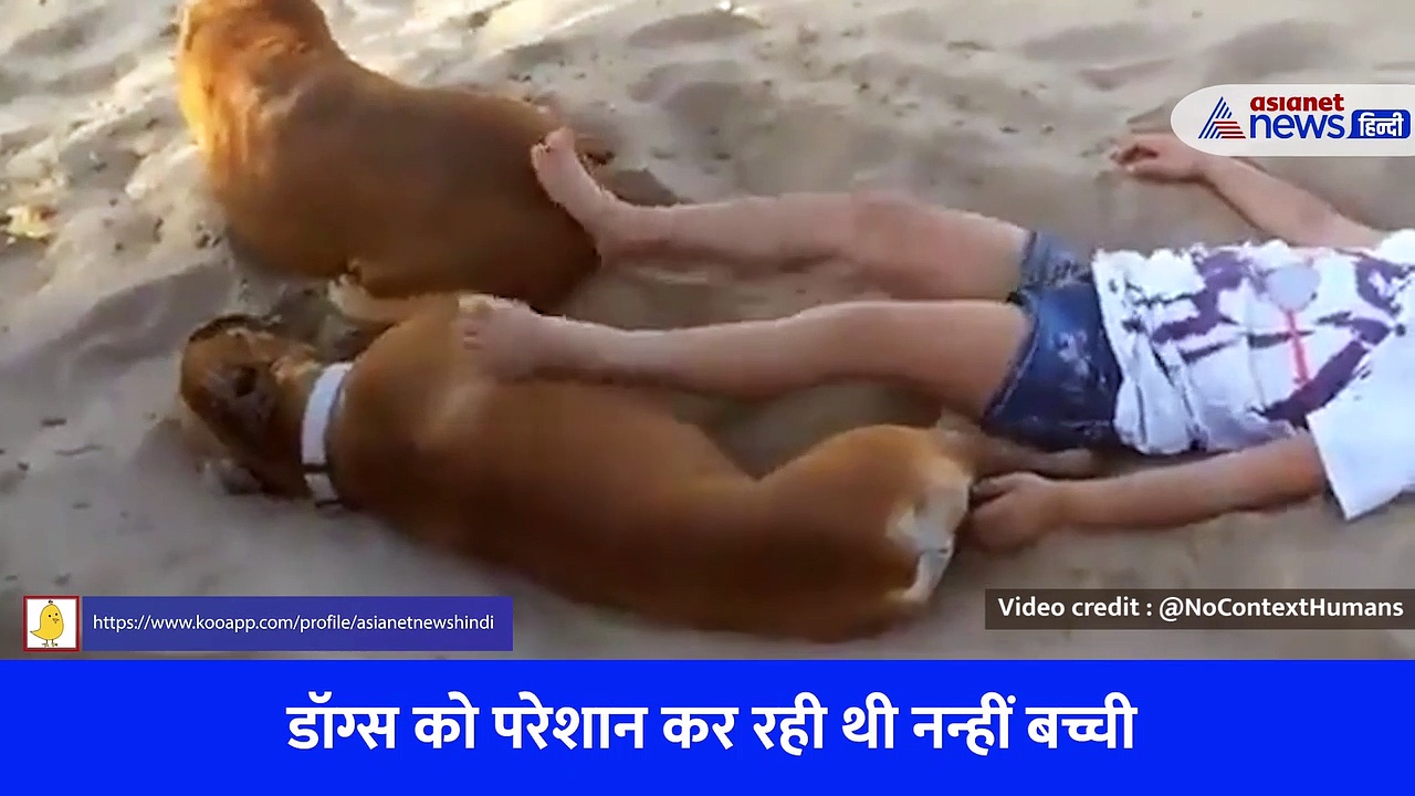 Funny Video : डॉग्स को परेशान कर रही थी नन्हीं बच्ची, फिर आई बदले की बारी
