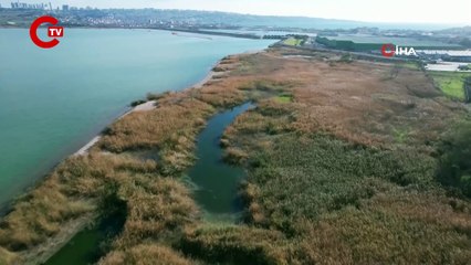 İstanbul’da barajların doluluk oranı yüzde 45’in üzerine çıktı