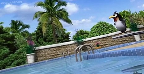 Bernard Bernard S01 E007 Diving Board