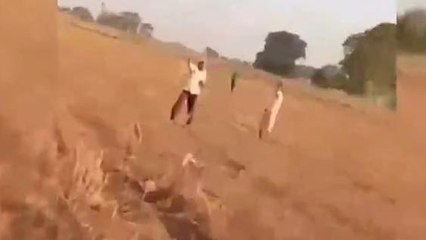 आगरा: दबंगों की लाइव दबंगई, लाठी-डंडे लेकर कर दिया बड़ा कांड