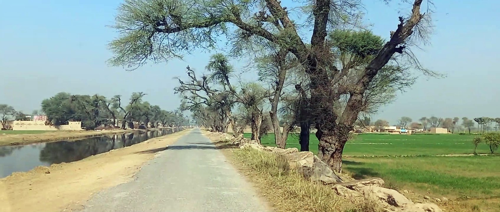 DUNYA PUR |village life | Beautiful crops