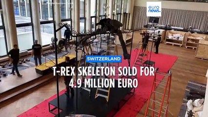 Private collector snaps up T-Rex skeleton for €4.9m at Swiss auction