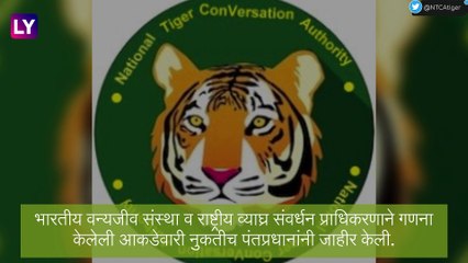 Maharashtra Tigers: भारतात वाघाच्या संख्येत वाढ, राज्यातील वाघांच्या संख्येतही 23 टक्क्यांनी वाढ