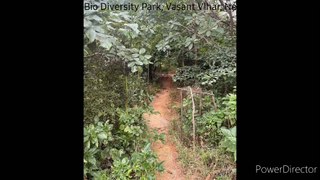 Aravalli_Bio_Diversity_Park__Full HD 1080p_LOW_FR30 (1)