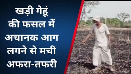 संभल: बिजली का तार टूट कर गिरने से किसान की खड़ी गेहूं की फसल में लगी आग