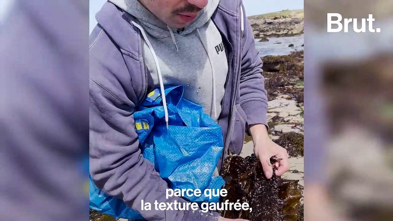 Il ramasse des algues pour en faire des vêtements - Vidéo Dailymotion