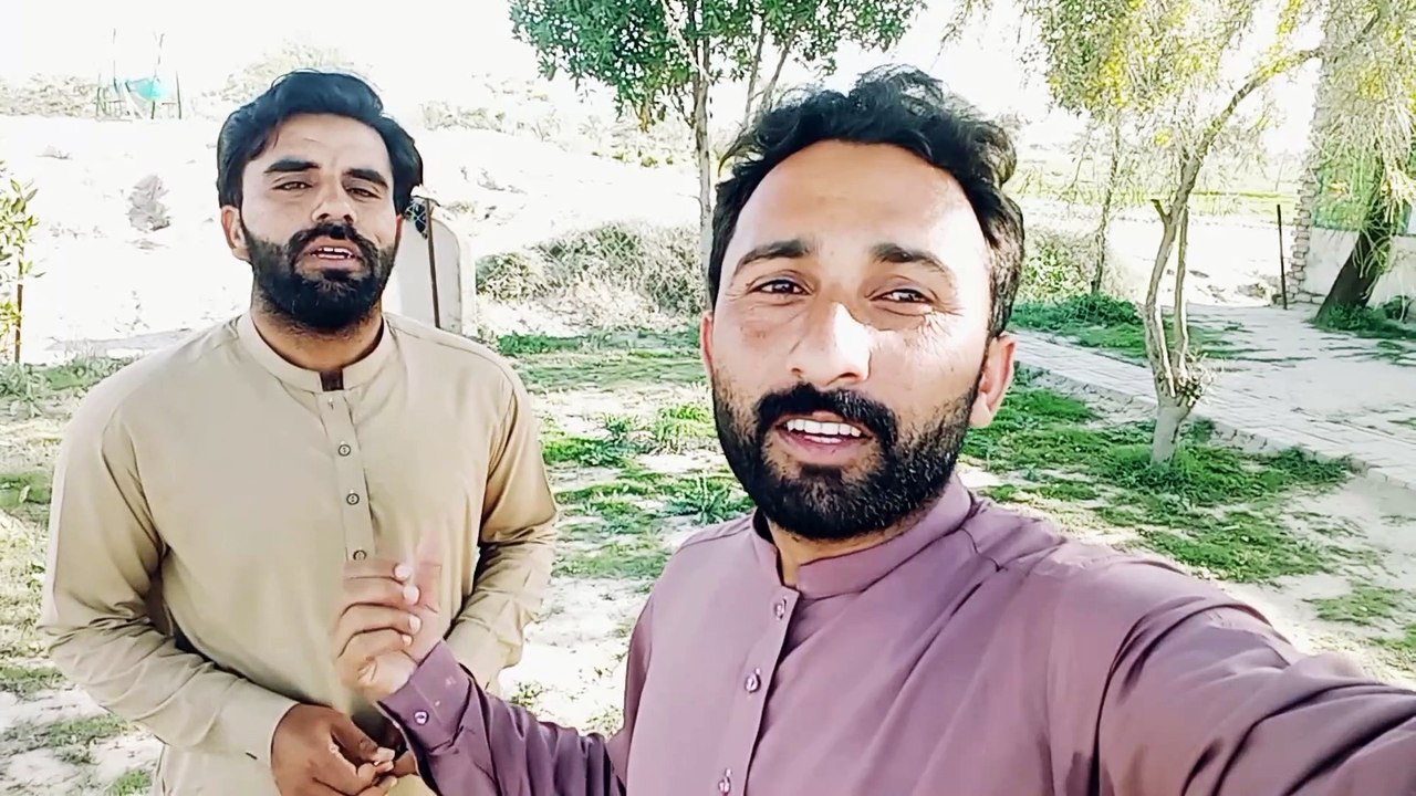 Harvesting the wheat crop||  Desii veloge|| Veloge|| Village Veloge