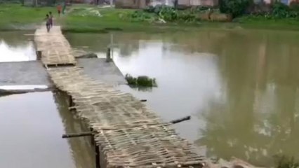 किशनगंज: हवाकोल पंचायत में बाढ़ से 10 साल से क्षतिग्रस्त पुल, जनप्रतिनिधि बेखबर