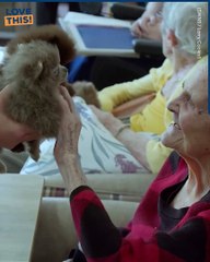 Adorable Pooches Bring Joy to Nursing Home Residents