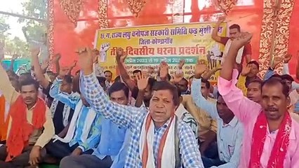 हरा सोना खरीदी शुरू होने से पहले धरने पर बैठे फड़ मुंशी संघ, देखें Video