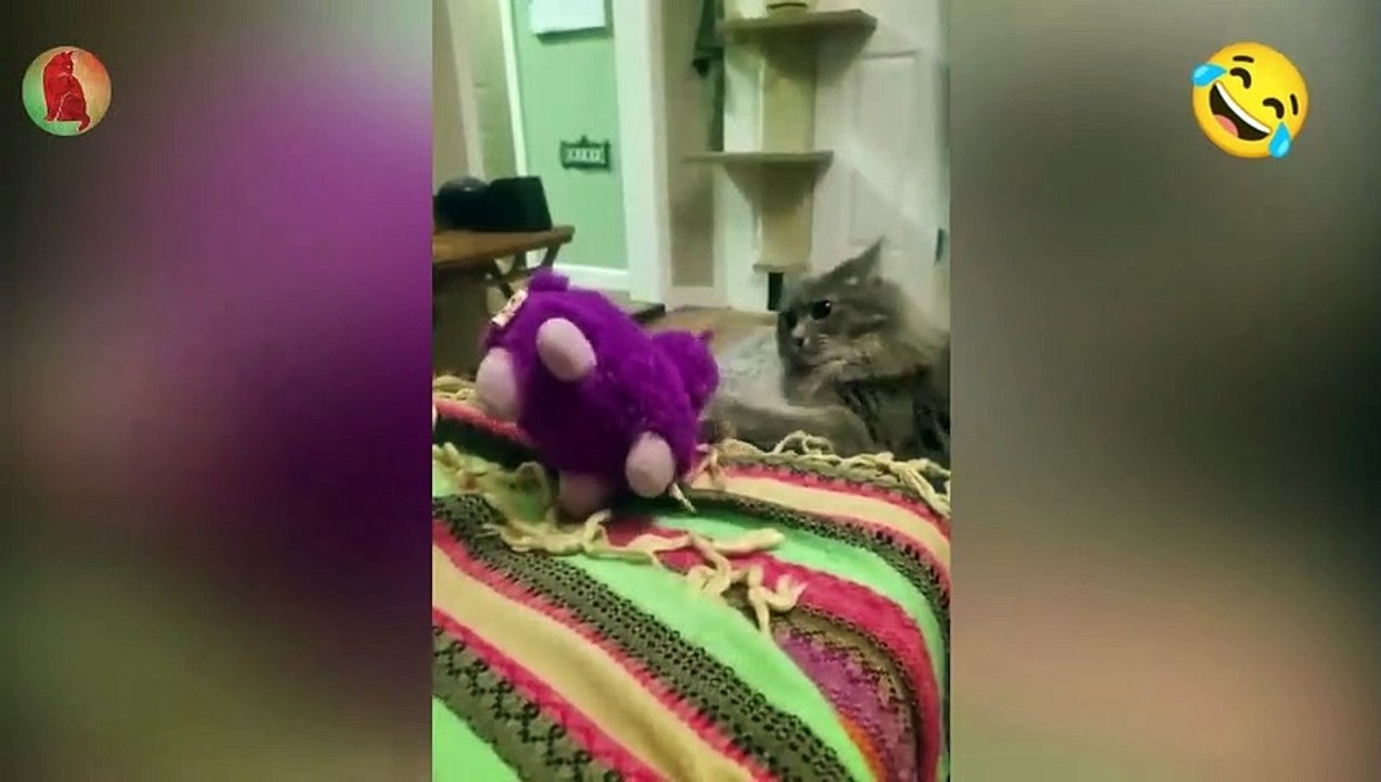 Funny Pets Part-14