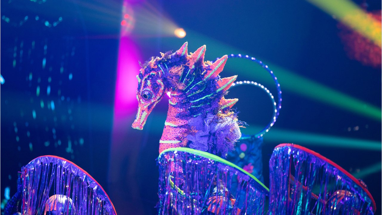 “The Masked Singer” Wer steckt hinter dem Seepferdchen? Vidéo Dailymotion