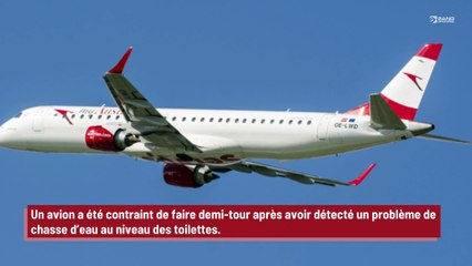 Un avion contraint de rebrousser chemin à cause d’un problème de chasse d’eau !
