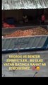 Vatandaşı çileden çıkartan görüntülerin adresi Migros