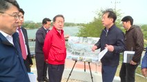 [대구] 홍준표 대구시장, 금호강 프로젝트 현장 점검 나서 / YTN