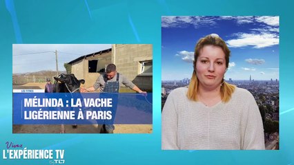 Audrey 14h24 - 19 avril 2023 - 02-27-31