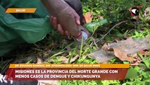Misiones es la provincia del norte grande con menos casos de Dengue y Chikungunya