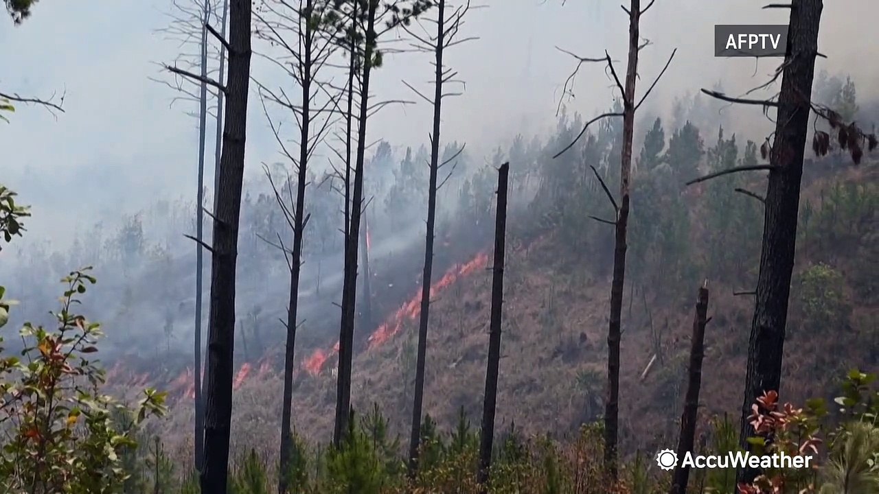 Forest fires burn in Honduras