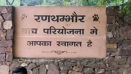 रणथम्भौर में पहले भी सामने आ चुके है अवैध घूसपैठ के मामले