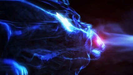 Multifunctional Ultrasonic Acoustic Vibration Cleaning Box (Review)