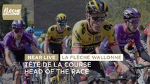 Tête de la course / Head of the race - #FlecheWallonne 2023