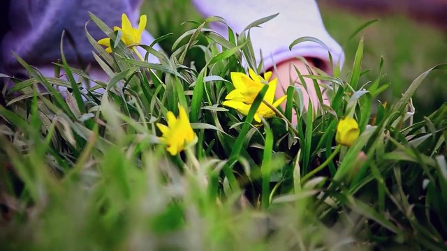 Fahrettin Altun’dan dikkat çeken video