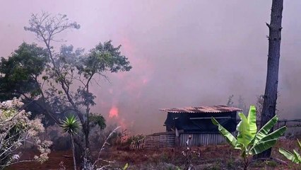 Forest fires rage in Honduras