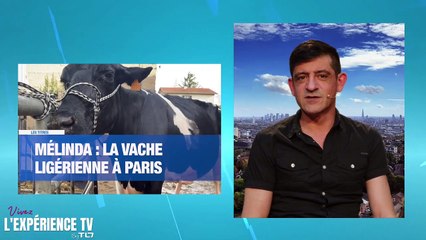 David 15h41 - 19 avril 2023 - 03-42-44